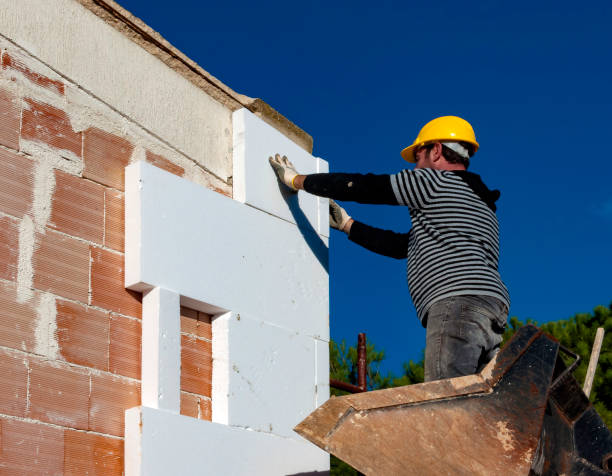 Best Insulation Maintenance and Repair in Refugio, TX